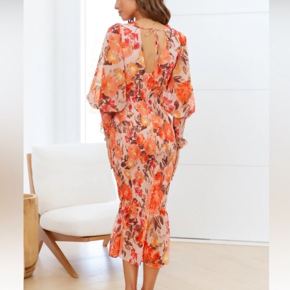 Hello Molly Stories from the Garden midi dress - Picture 2 of 4